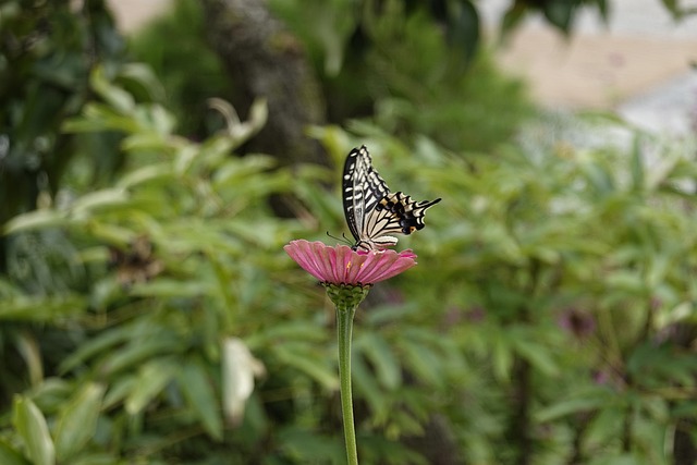 img3.webp